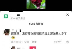 爆料扎心队长视频下载,揭秘幕后真相，网友热议不已