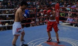 吃瓜娱乐拳击比赛视频播放,吃瓜群众围观精彩拳击比赛视频